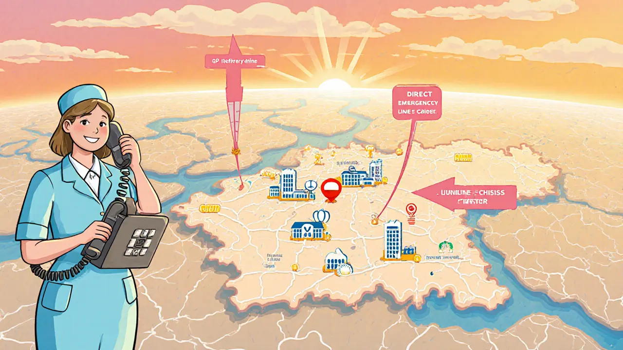 Mapa ČR s ikonami nemocnic, šipkami k různým způsobům pomoci a telefonistkou.