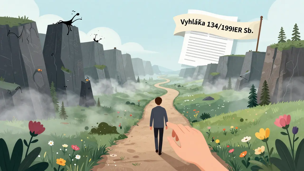 Cesta skrz emocionální krajiny, vedoucí k sebepoznání, s českým právním dokumentem na pozadí.