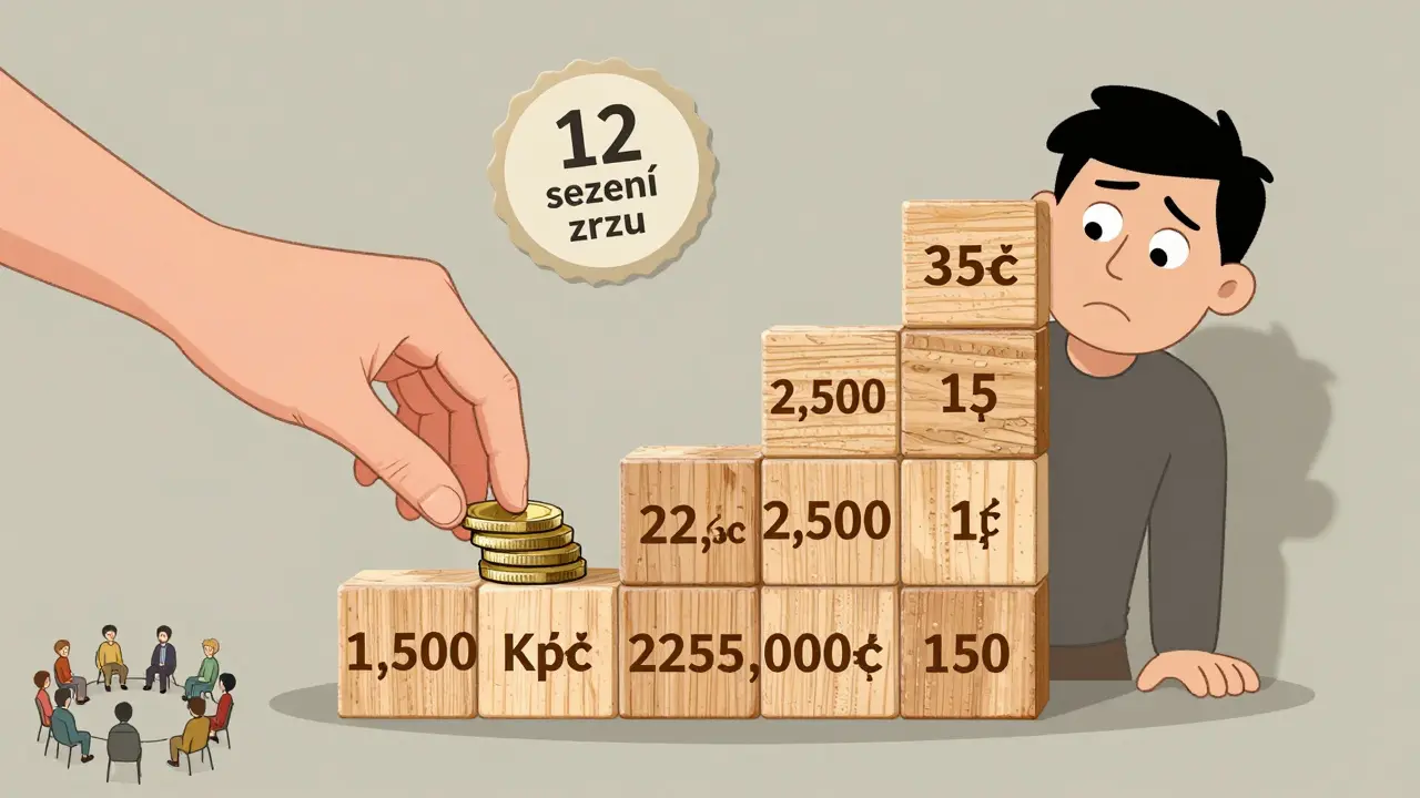 Dřevěný kalkulátor s cenami terapie, malá suma vs. velká suma, s pojišťovacím znakem a skupinovou terapií v pozadí.